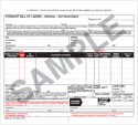 Straight Bill Of Lading 3-Ply Snap-Out with Carbon 8-1/2"Wx7"L 9-BLS-A 3