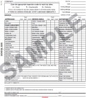 New York School Bus & Motor Coach Driver's Vehicle Inspection Report