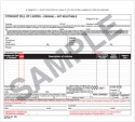 Straight Bills Of Lading - Universal Form 10-BLS-A 3