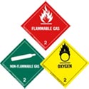 HazMat Label Class 2 Division 2.1 Flammable Gas Roll of 500 207/4-HML-R