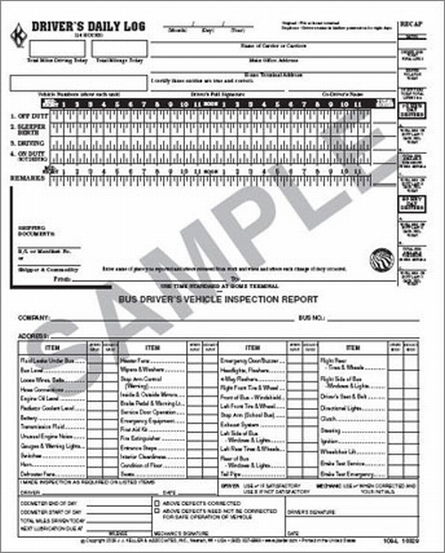 Six-Inch Clear Log Ruler