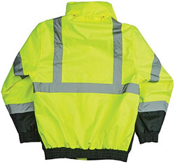 Back View of Safety Vest